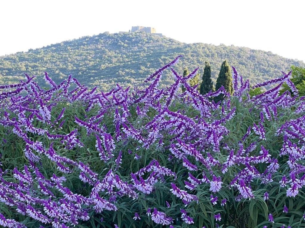 Villa Pimpinnacolo Porto Ercole  Kültér fotó